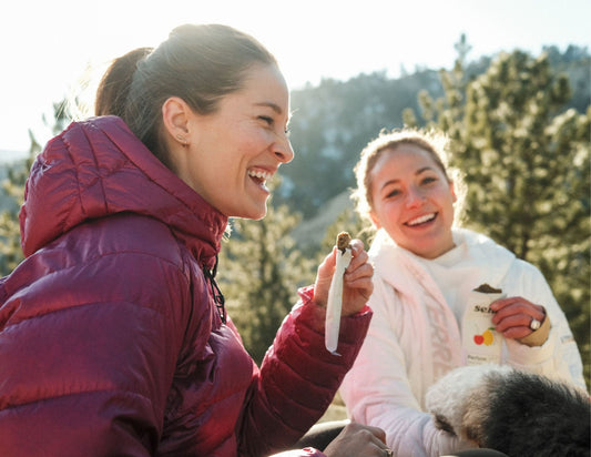 Sunflower Power: Why We Use Sunflower Lecithin (Not Sunflower Oil) in Send Bars